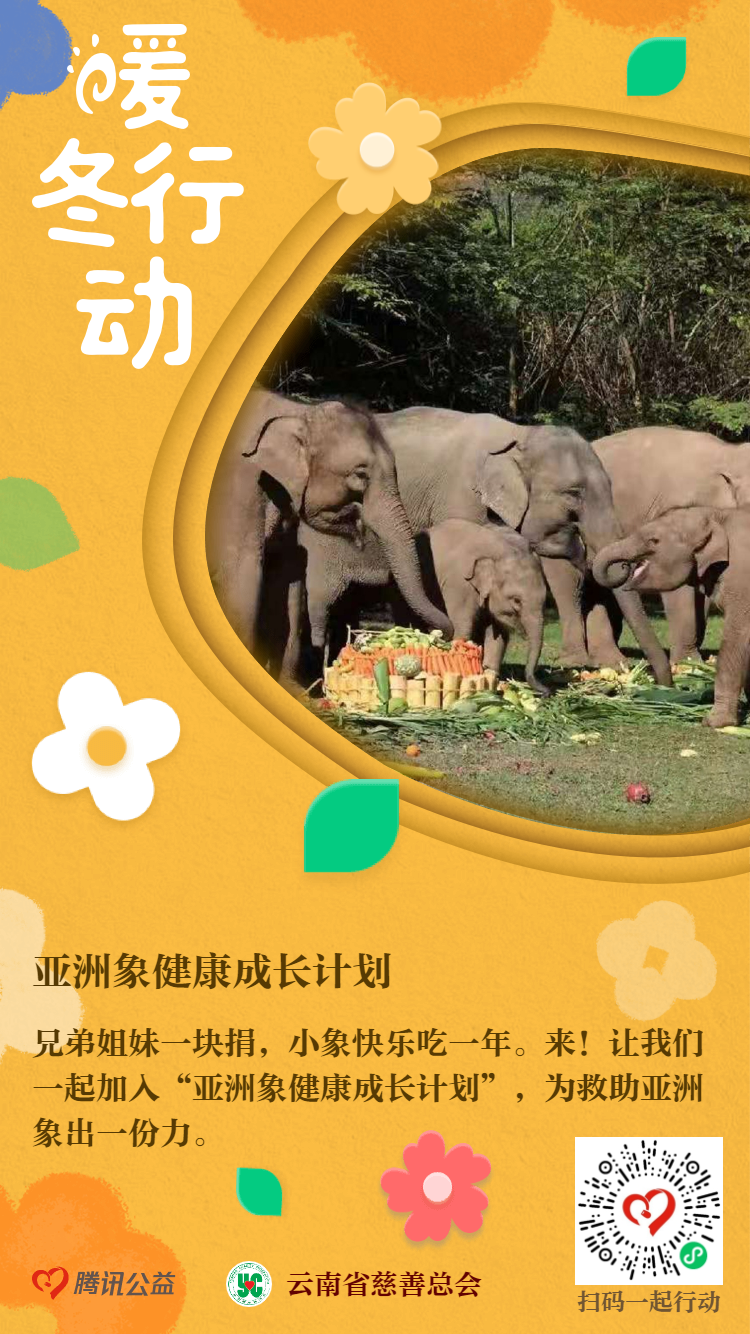 99公益日004